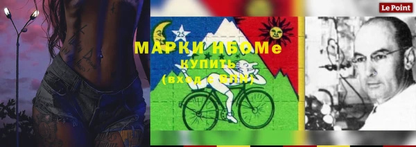 PSILOCYBIN Волосово