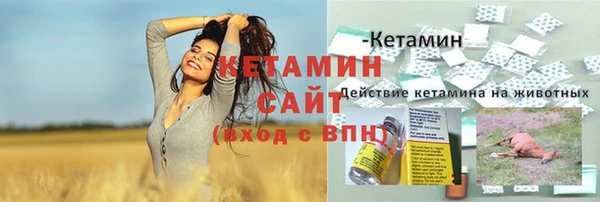 PSILOCYBIN Волосово