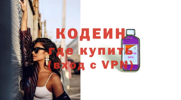 прущая мука Вяземский