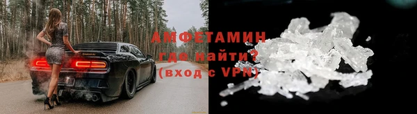 прущая мука Вяземский