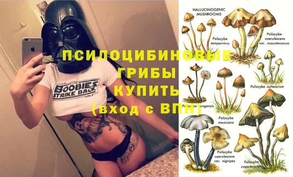 PSILOCYBIN Волоколамск