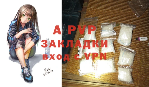 PSILOCYBIN Волосово