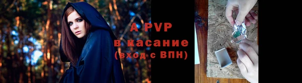 PSILOCYBIN Волосово
