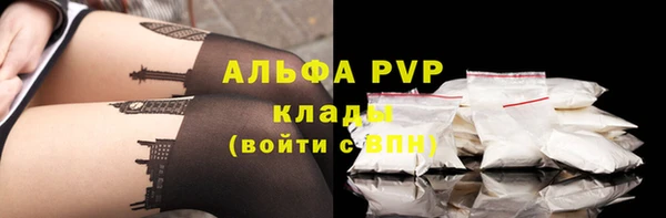 ешки Горняк