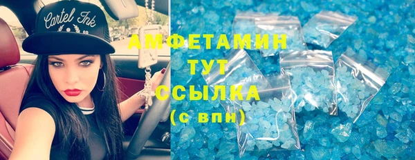 прущая мука Вяземский
