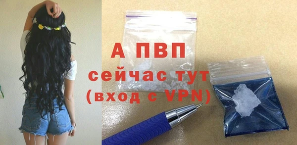 тгк Володарск