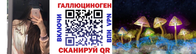ссылка на мегу   цена наркотик  Зеленодольск  Псилоцибиновые грибы Cubensis 